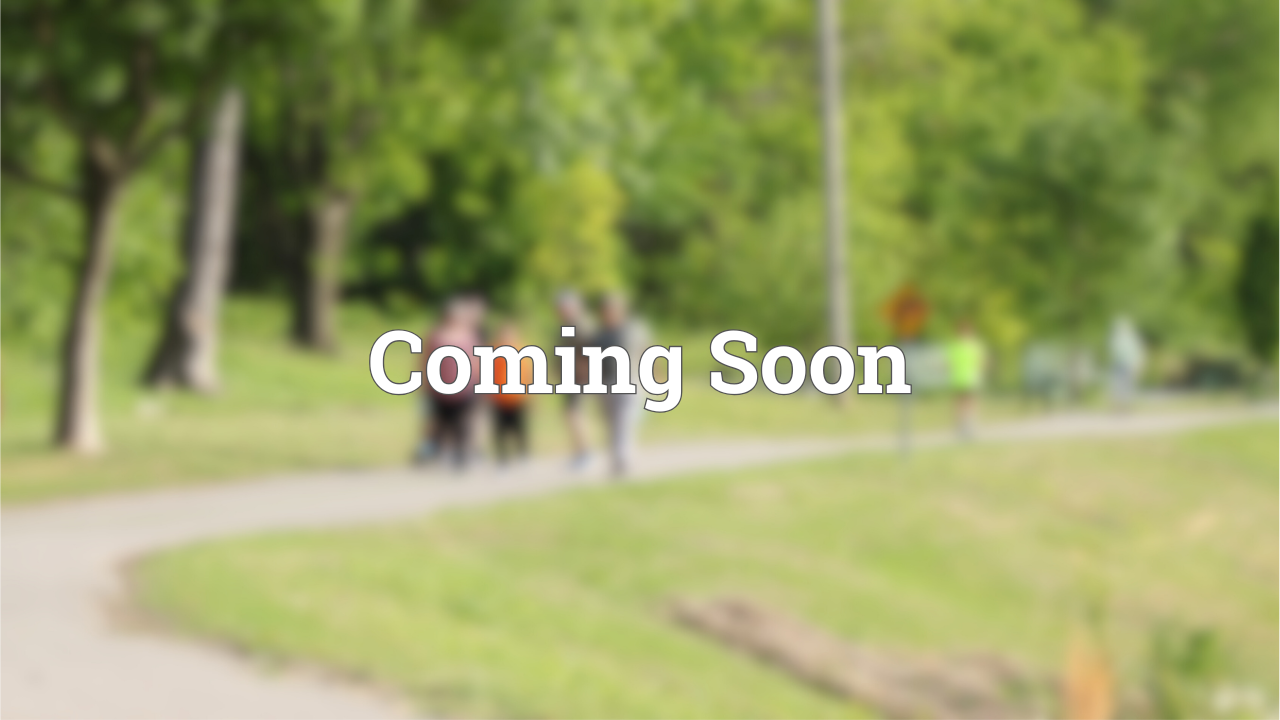 Image not available just yet.